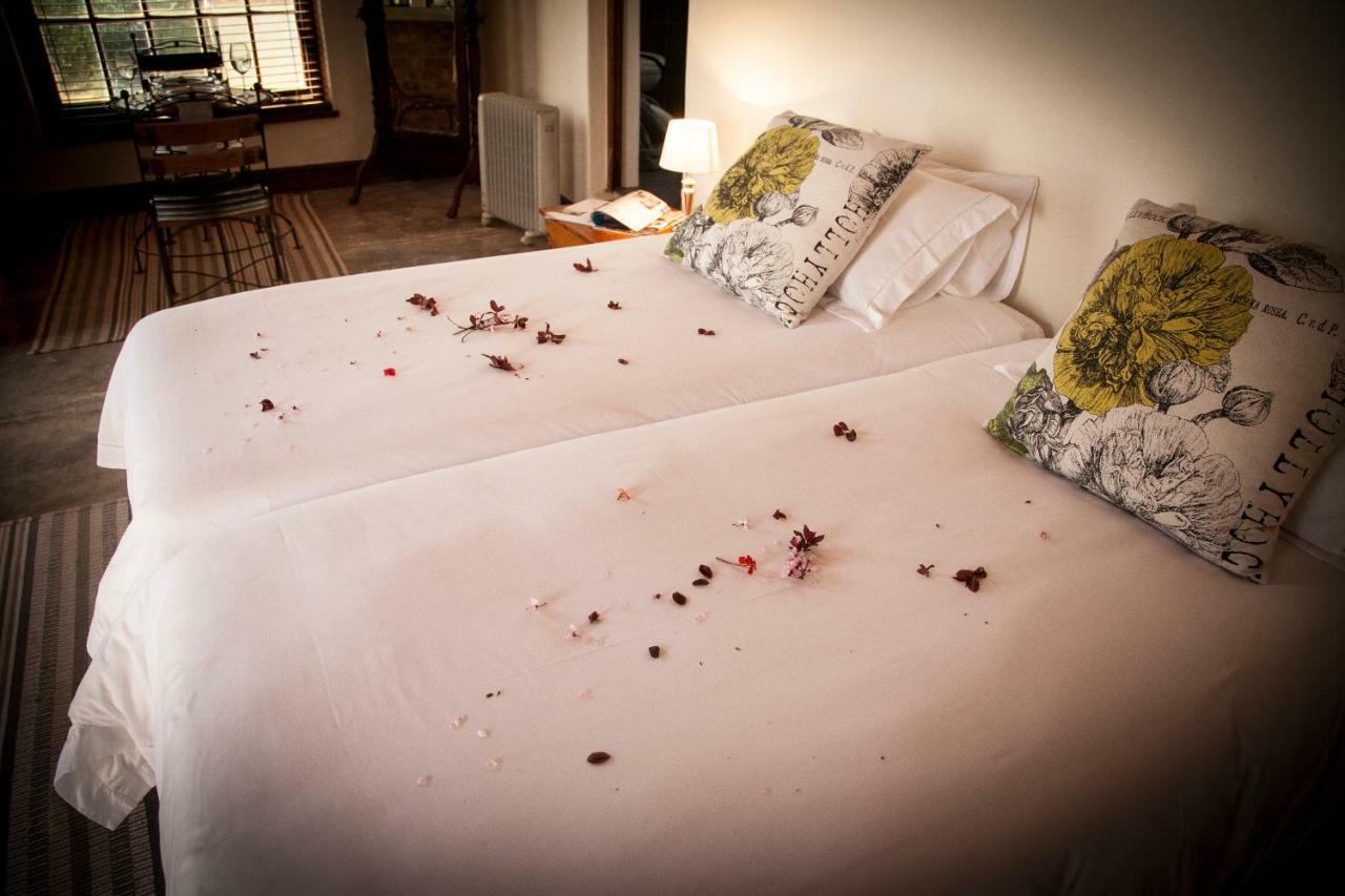 Mooiplaas Wine Estate Apartment Stellenbosch Luaran gambar