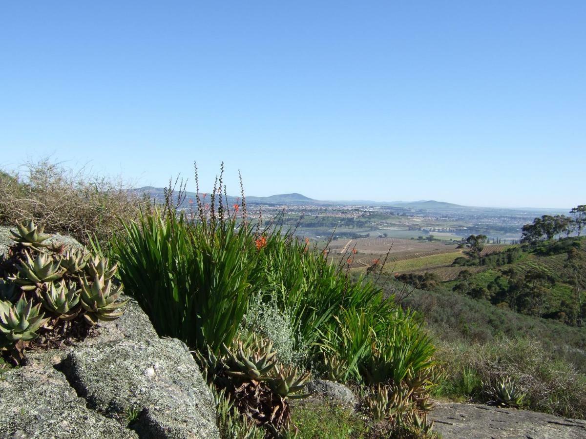 Mooiplaas Wine Estate Apartment Stellenbosch Luaran gambar